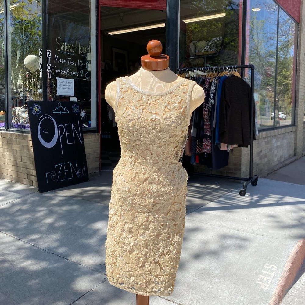 Brand New BCBGMaxAzria Embellished Dress